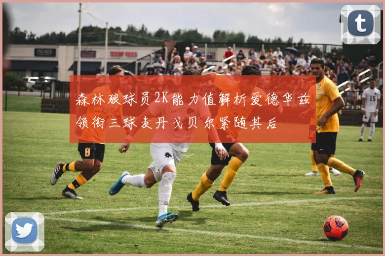 森林狼球员2K能力值解析爱德华兹领衔三球麦丹戈贝尔紧随其后